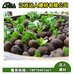 達(dá)人建材生產(chǎn)的陶粒可以種植所有花卉嗎？